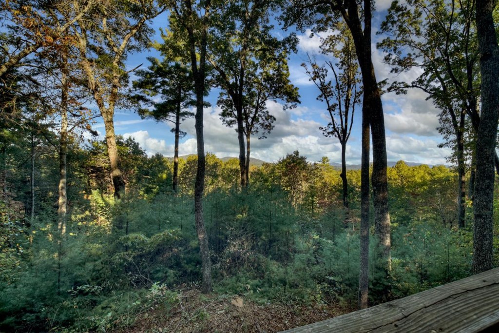 587 Candy Lane Ellijay, GA 30540 - Photo 20 of 40