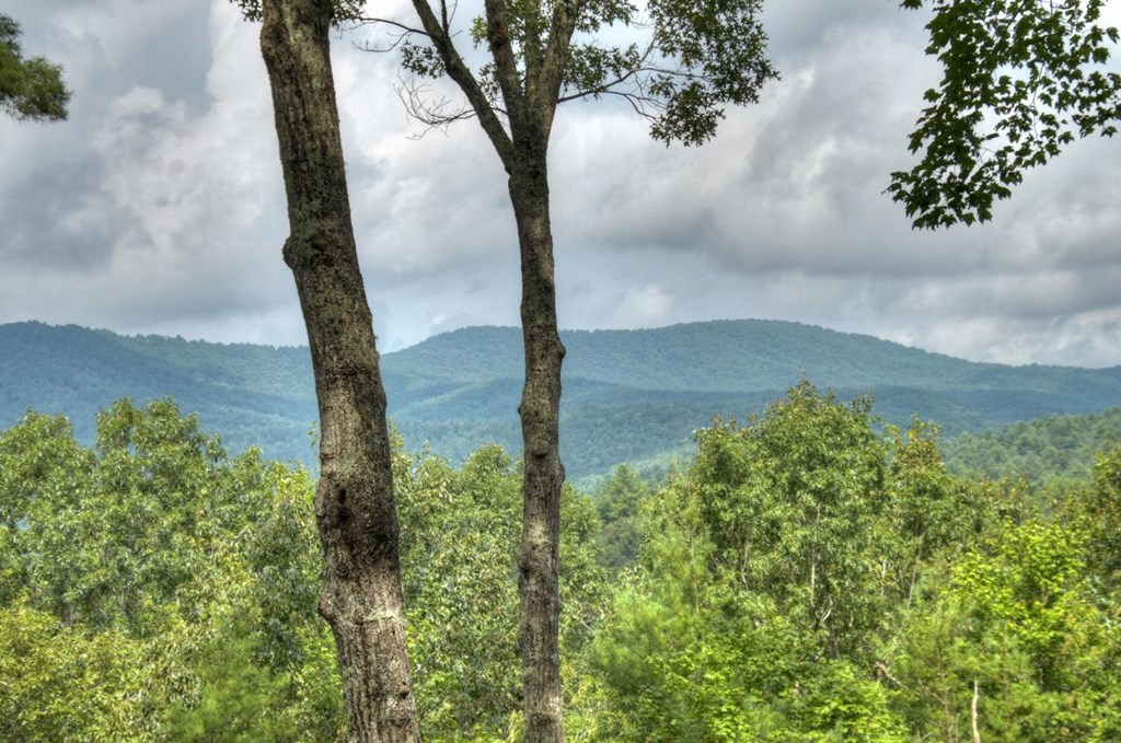 587 Candy Lane Ellijay, GA 30540 - Photo 2 of 40