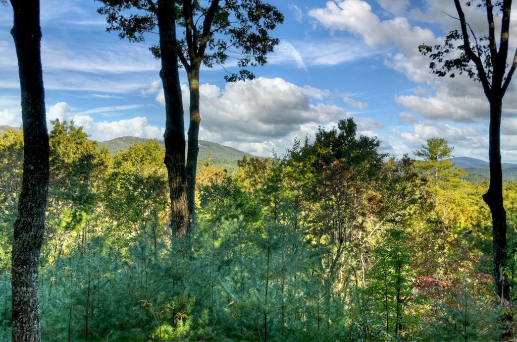 587 Candy Lane Ellijay, GA 30540 - Photo 22 of 40