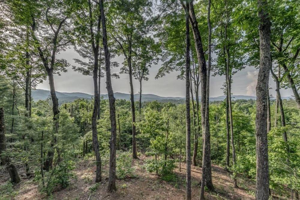 587 Candy Lane Ellijay, GA 30540 - Photo 39 of 40