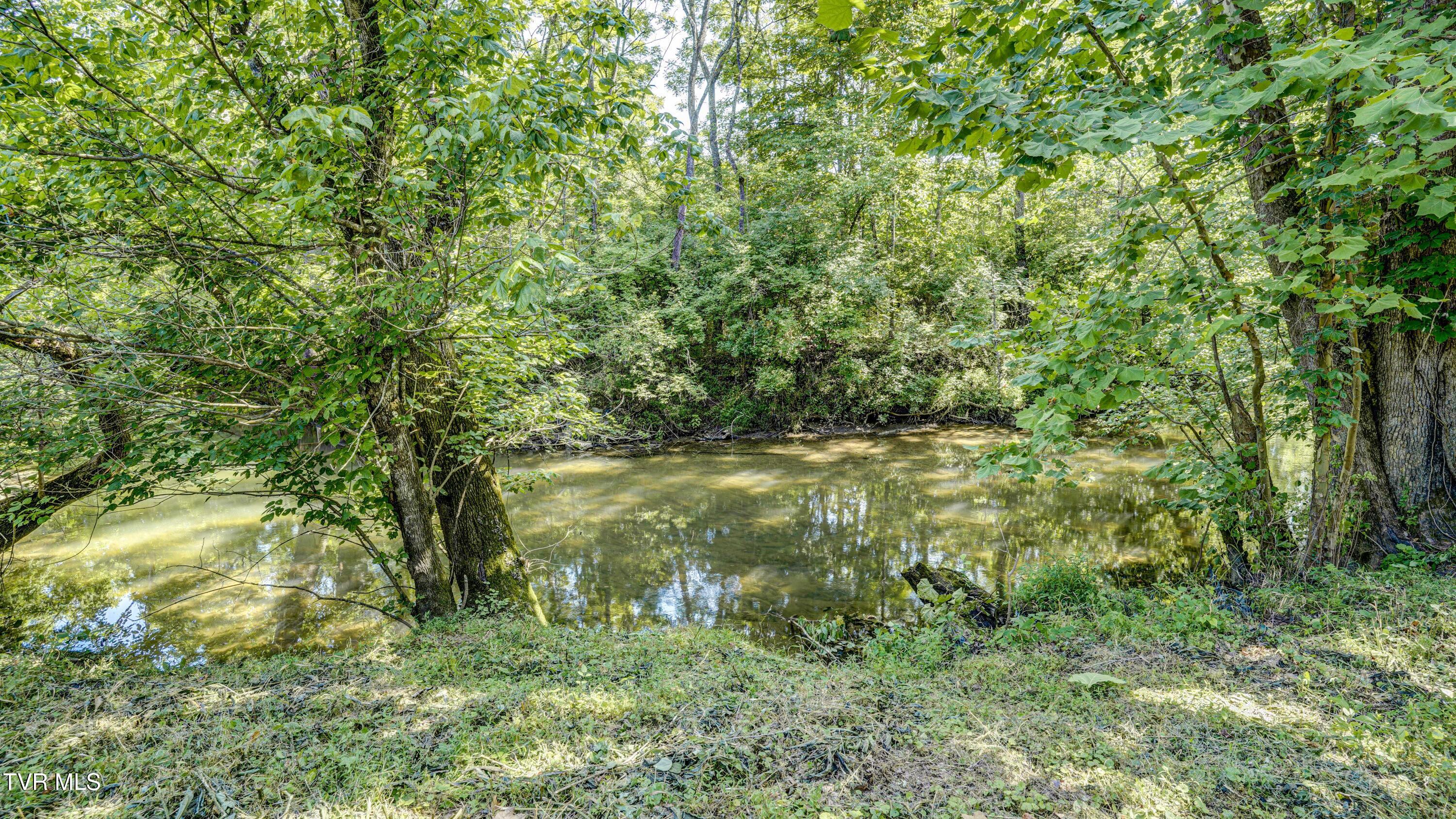 101 Timberlane Road Bristol, TN 37620 - Photo 11 of 70 _DSC5148_49_50_51_52
