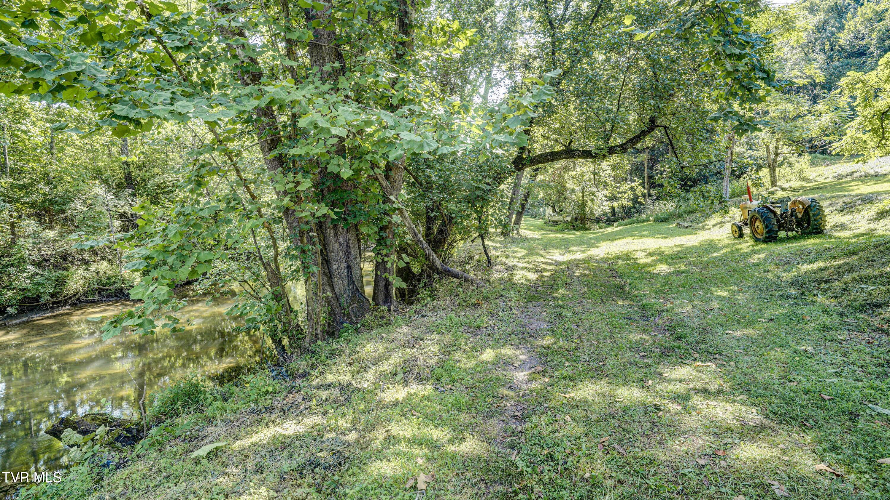 101 Timberlane Road Bristol, TN 37620 - Photo 12 of 70 _DSC5153_4_5_6_7