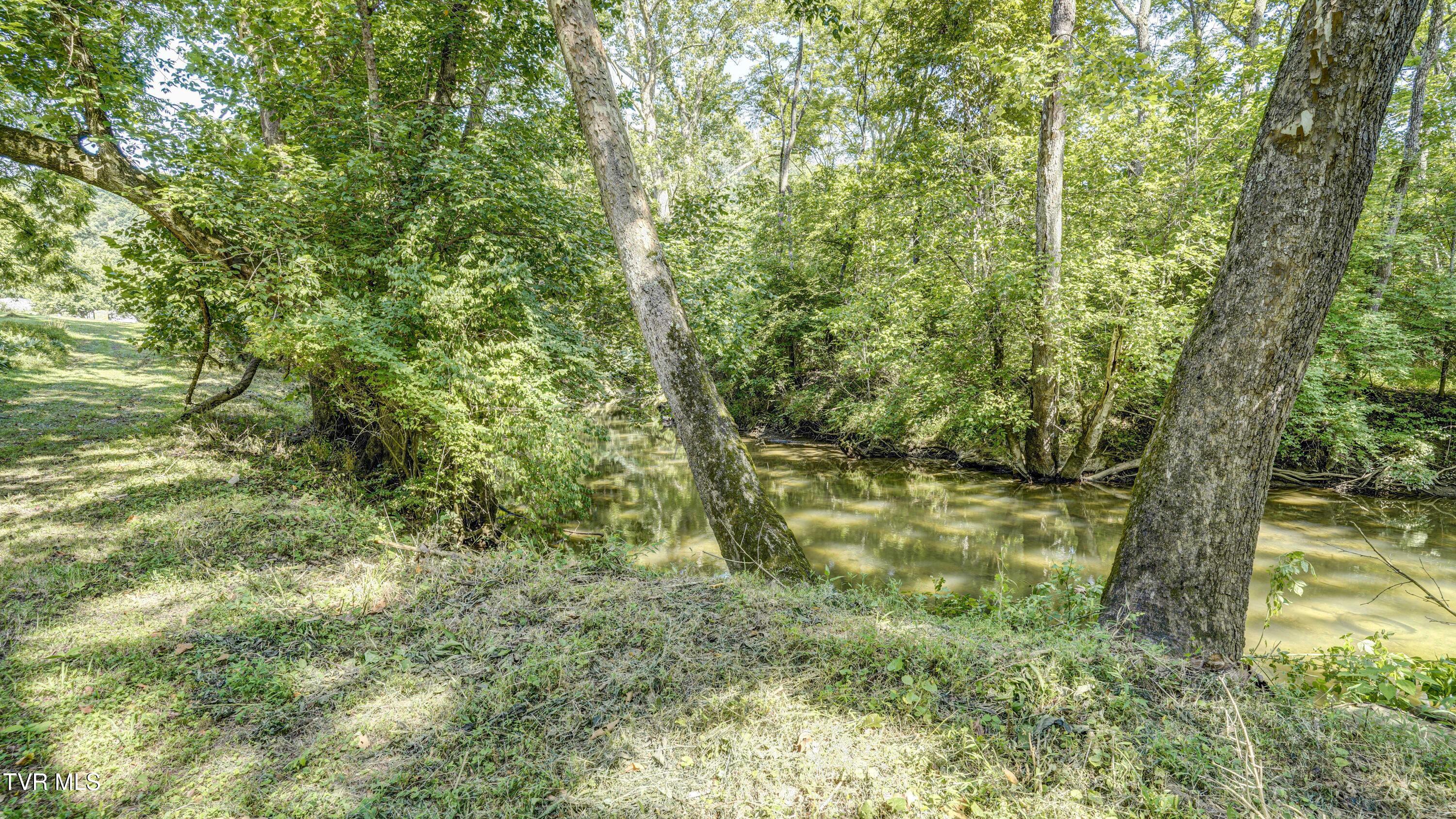 101 Timberlane Road Bristol, TN 37620 - Photo 15 of 70 _DSC5168_69_70_71_72