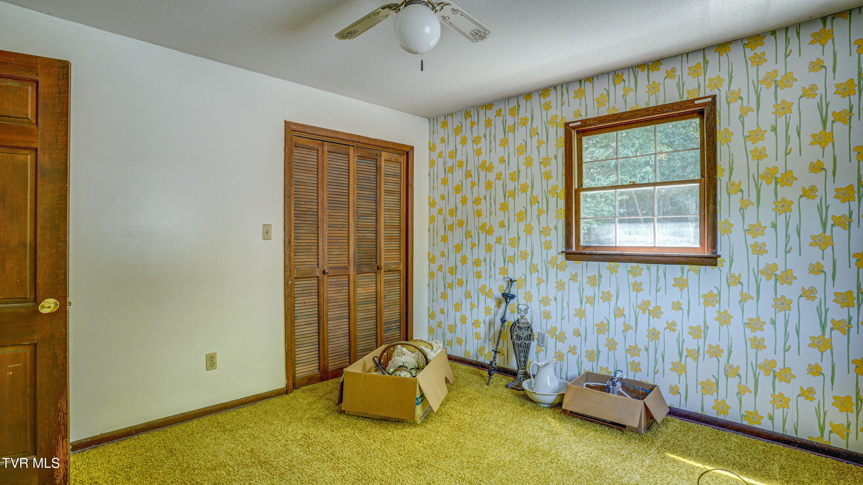 101 Timberlane Road Bristol, TN 37620 - Photo 50 of 70 _DSC5343_4_5_6_7