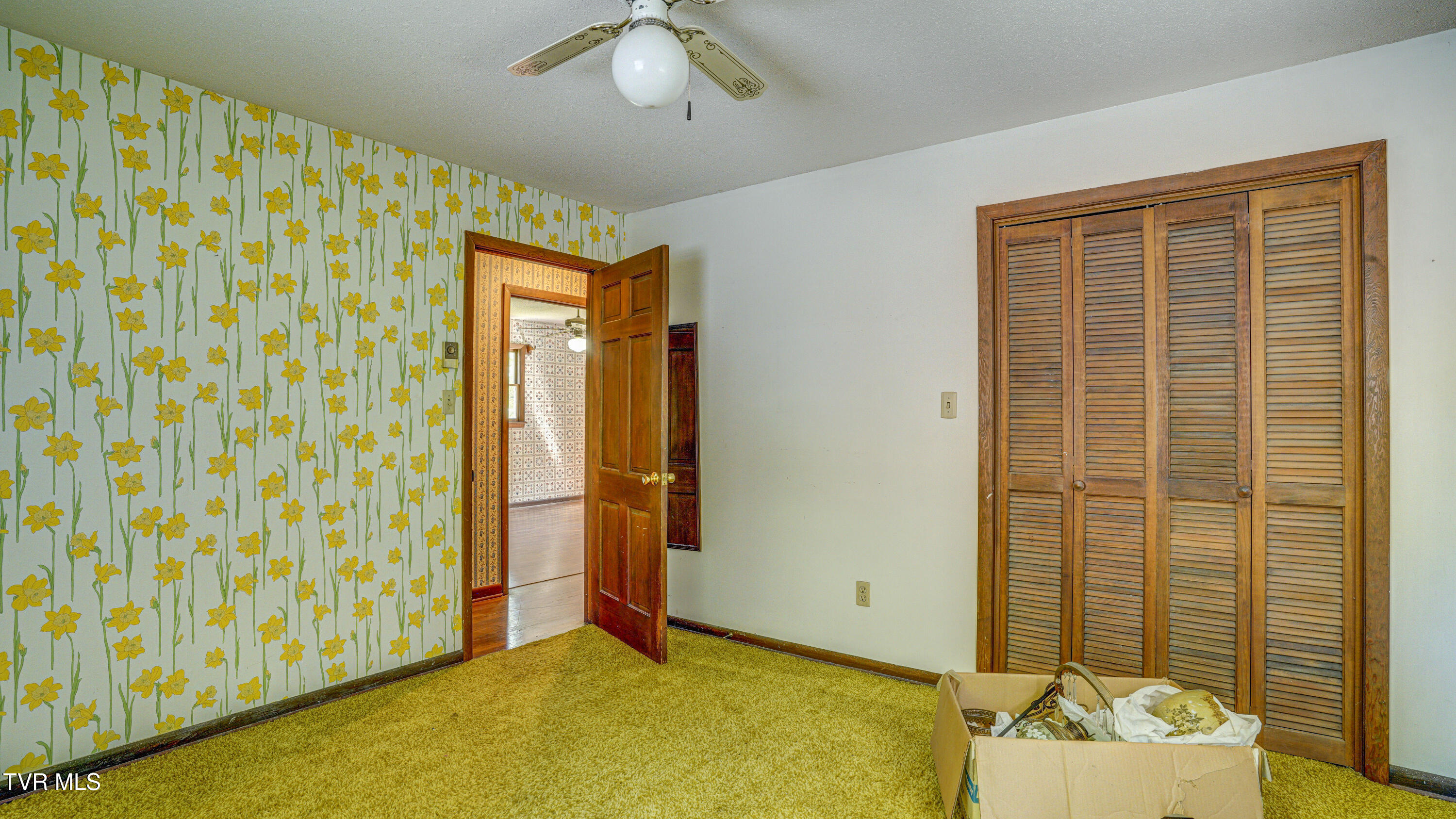 101 Timberlane Road Bristol, TN 37620 - Photo 51 of 70 _DSC5348_49_50_51_52