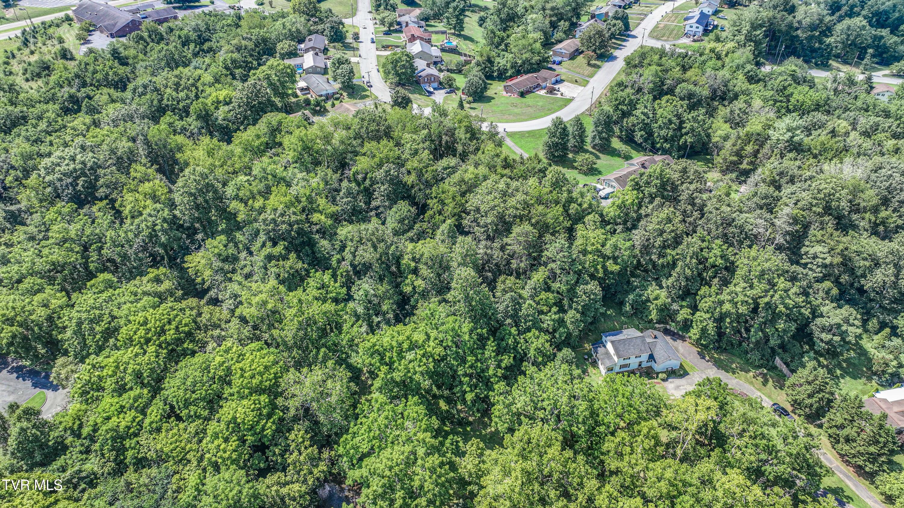 101 Timberlane Road Bristol, TN 37620 - Photo 64 of 70 DJI_20250725111852_0235_D_6_D_7_D_8_D_9_