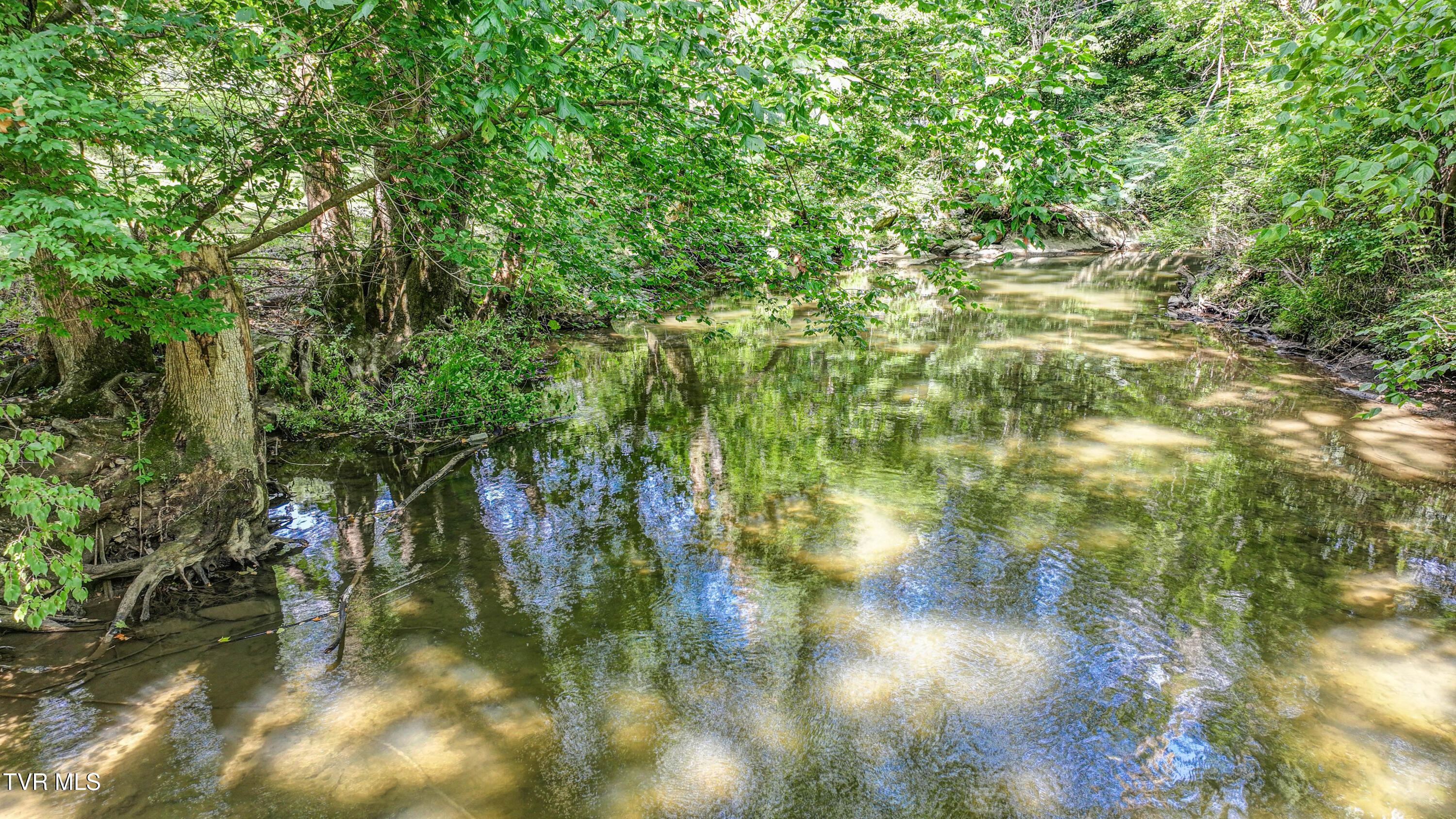 101 Timberlane Road Bristol, TN 37620 - Photo 70 of 70 DJI_20250725112503_0275_D_6_D_7_D_8_D_9_