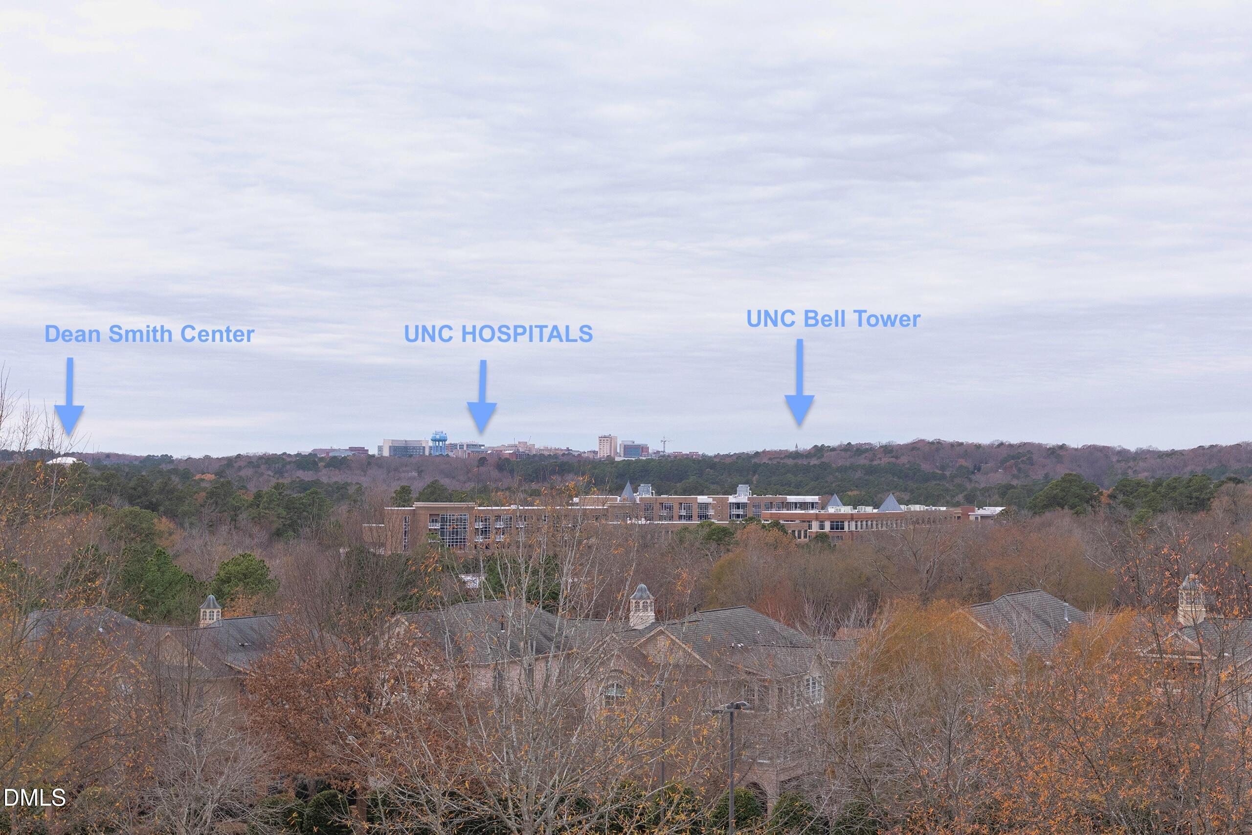 335 West Barbee Chapel Road Chapel Hill, NC 27517 - Photo 3 of 62 View from balcony