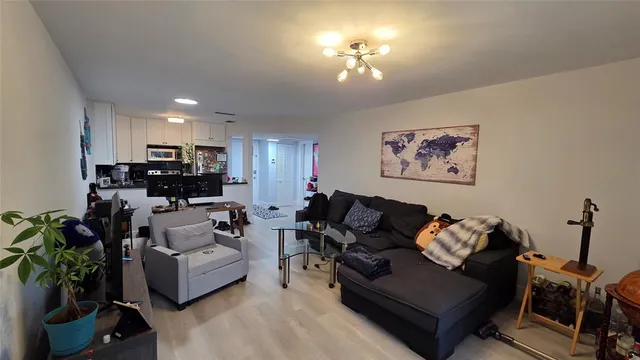 a living room with furniture flowerpot and a potted plant