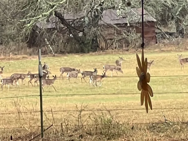 $1,700,000 | 1384 County Road 326, Adkins, TX 78101