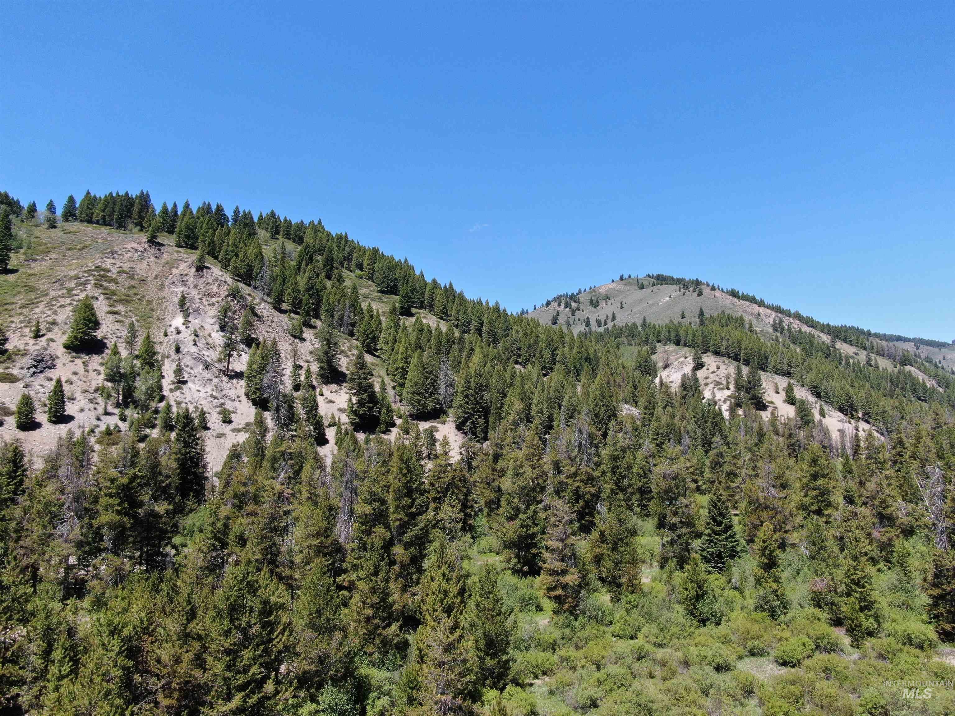 2049 Fleck Summit Road Fairfield, ID 83327 - Photo 24 of 47