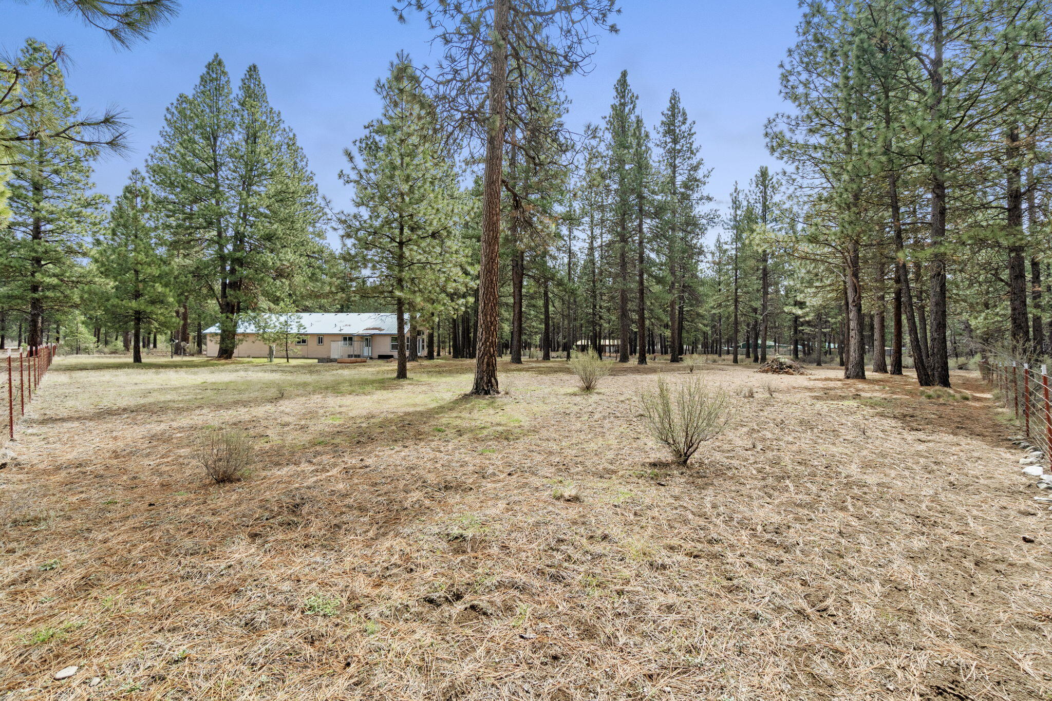 39314 Chiloquin Ridge Road Chiloquin, OR 97624 - Photo 9 of 60 9-web-or-mls-DSC09698