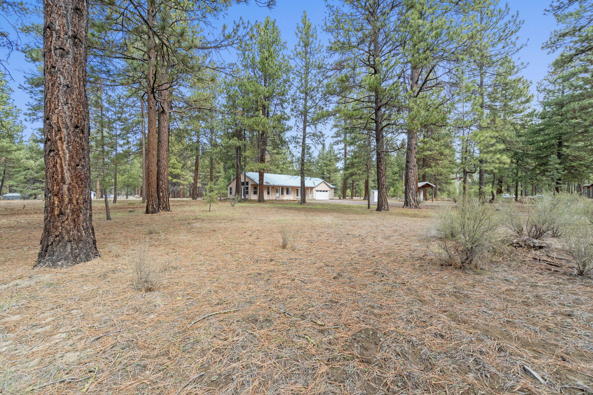 39314 Chiloquin Ridge Road Chiloquin, OR 97624 - Photo 8 of 60 8-web-or-mls-DSC09728