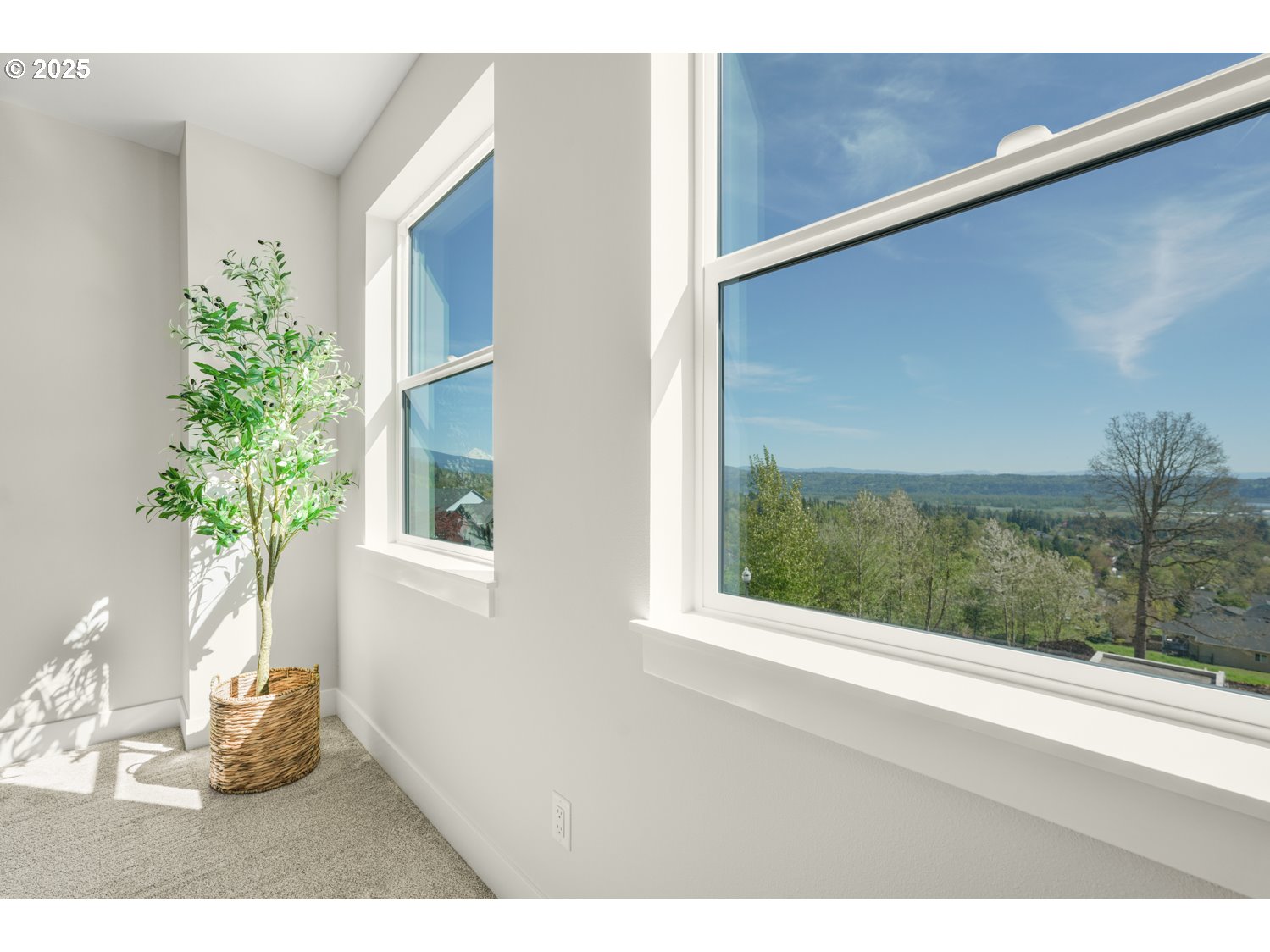 4165 Z Street Washougal, WA 98671 - Photo 28 of 40