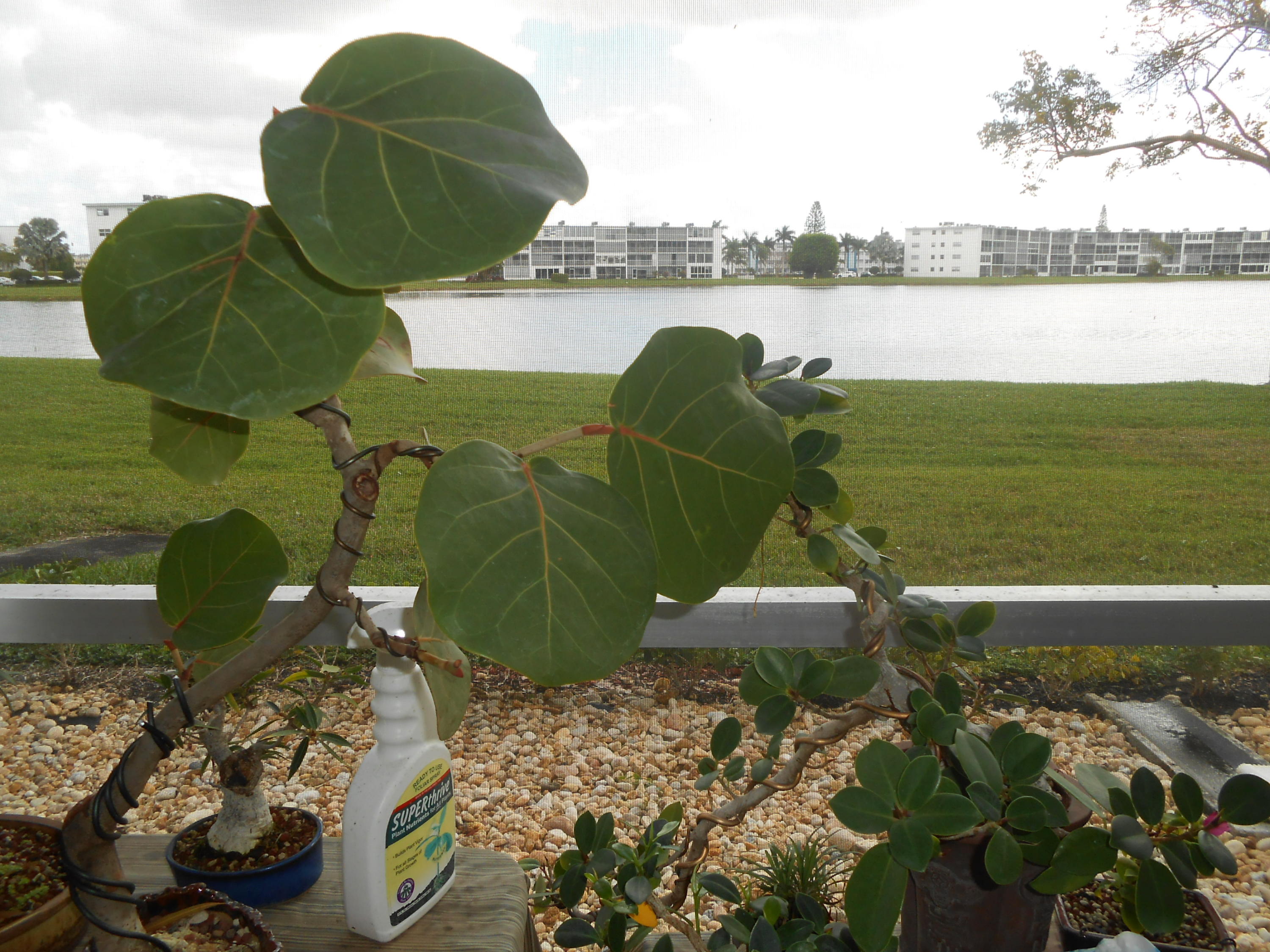 1026 Cornwall East Boca Raton, FL 33434 - Photo 20 of 23 Lake View
