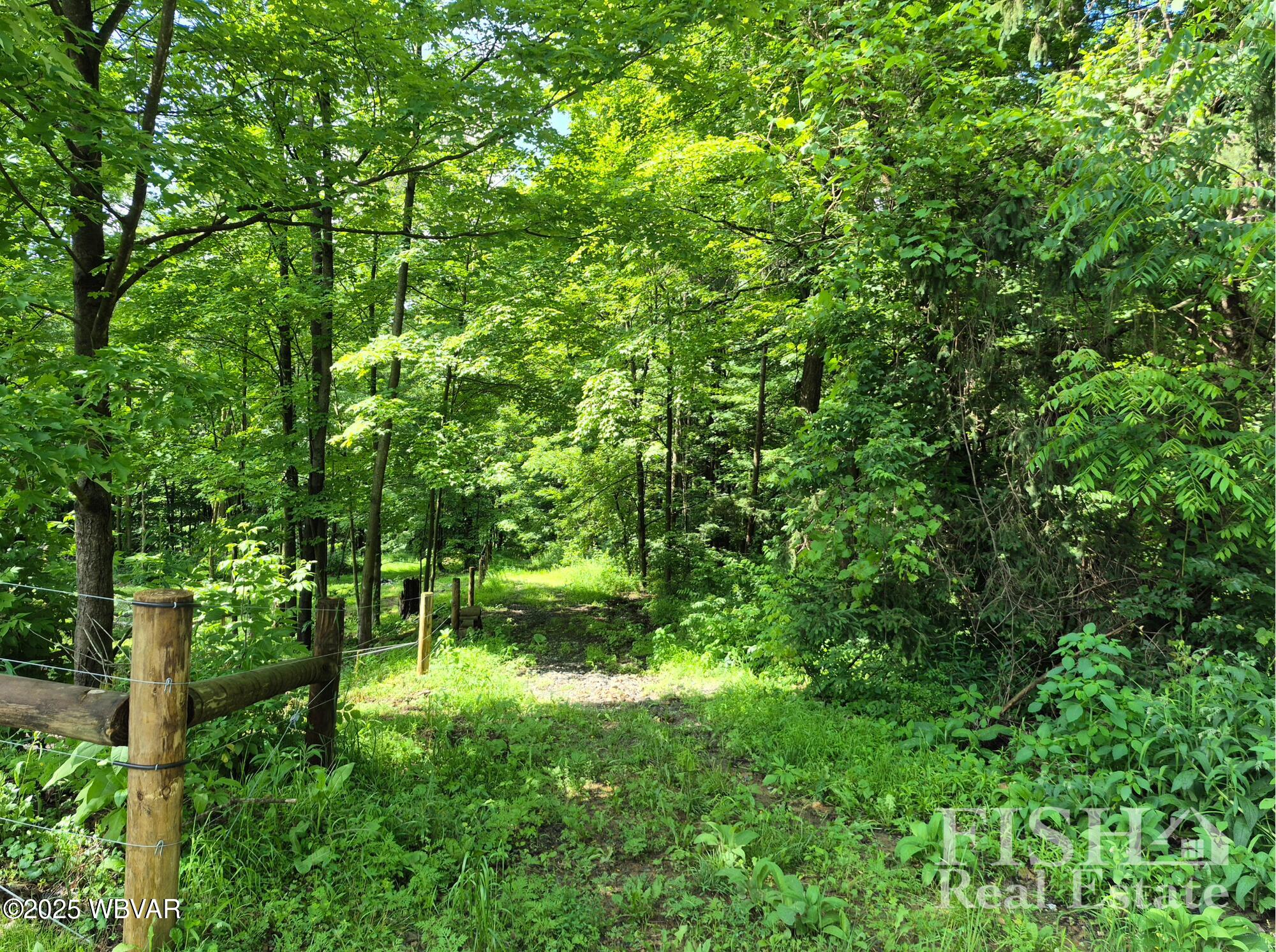 3178 West Winter Road Loganton, PA 17747 - Photo 18 of 33 33