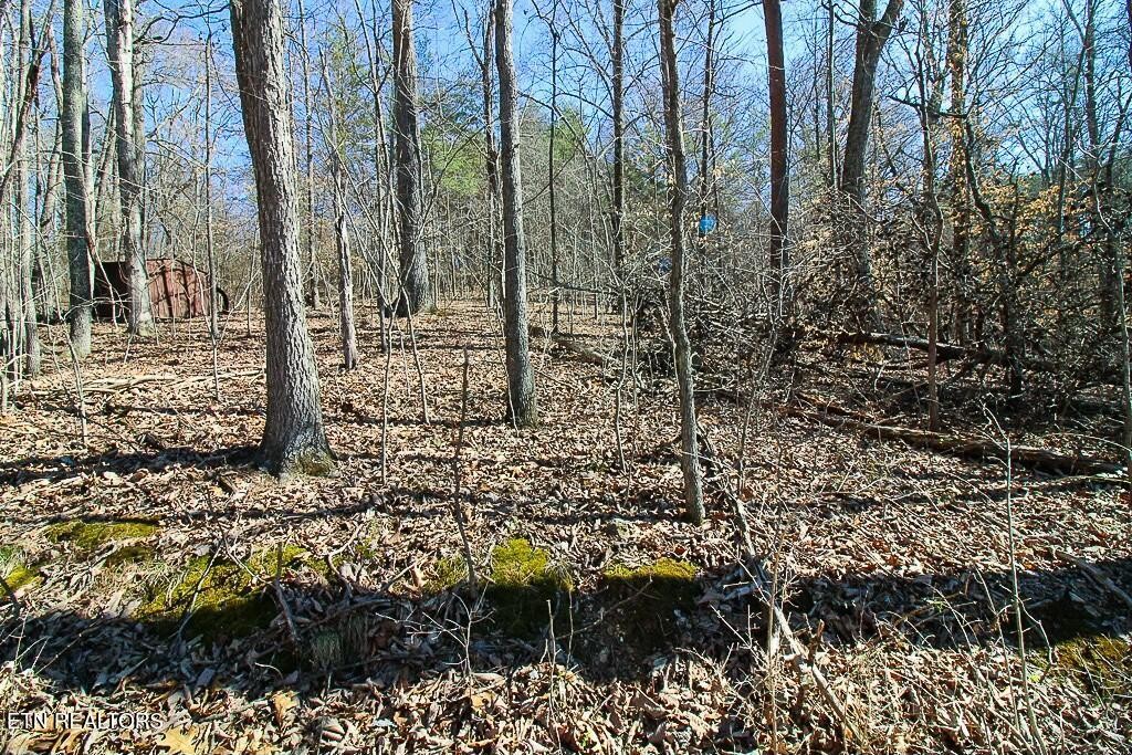 351 Blacks Ferry Road Knoxville, TN 37931 - Photo 25 of 29 Gallery Image 25