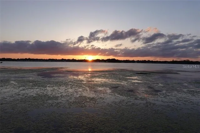 a view of a house with a swimming pool and a yard