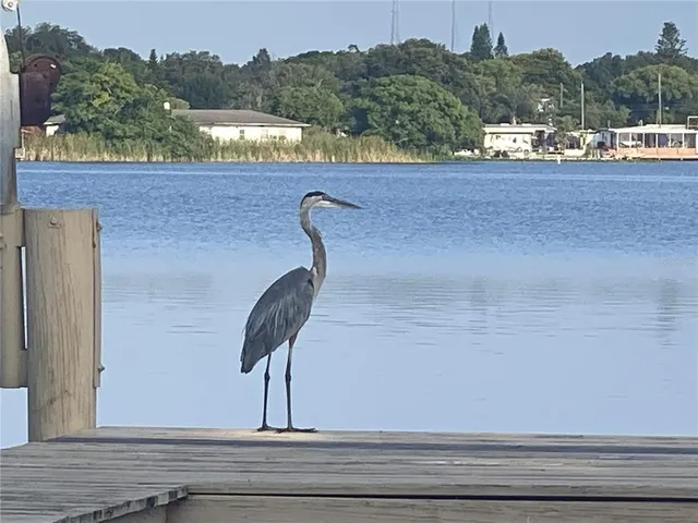 $5,500 | 11314 Harborside Drive, Largo, FL 33773