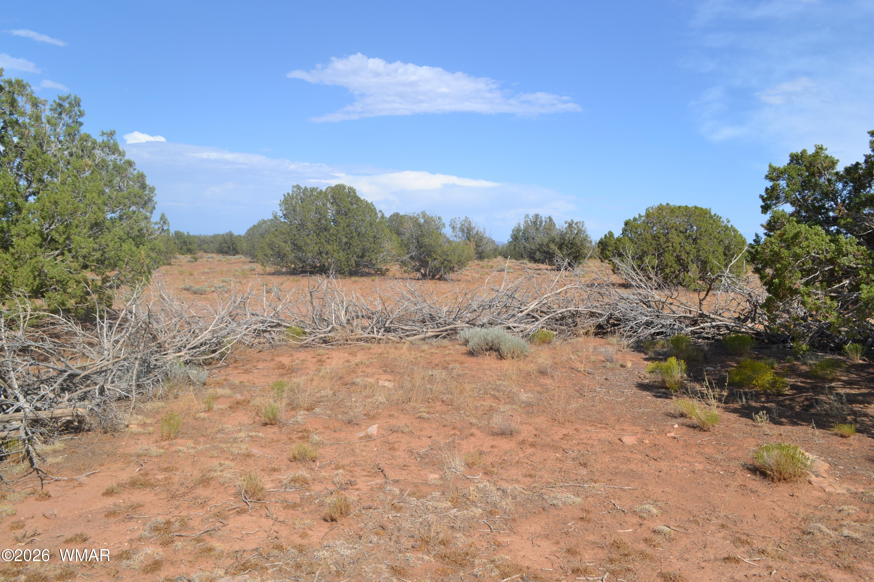 1771 West Ridgeview Rnch Drive Snowflake, AZ 85937 - Photo 11 of 29