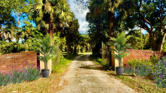 a view of yard along with trees