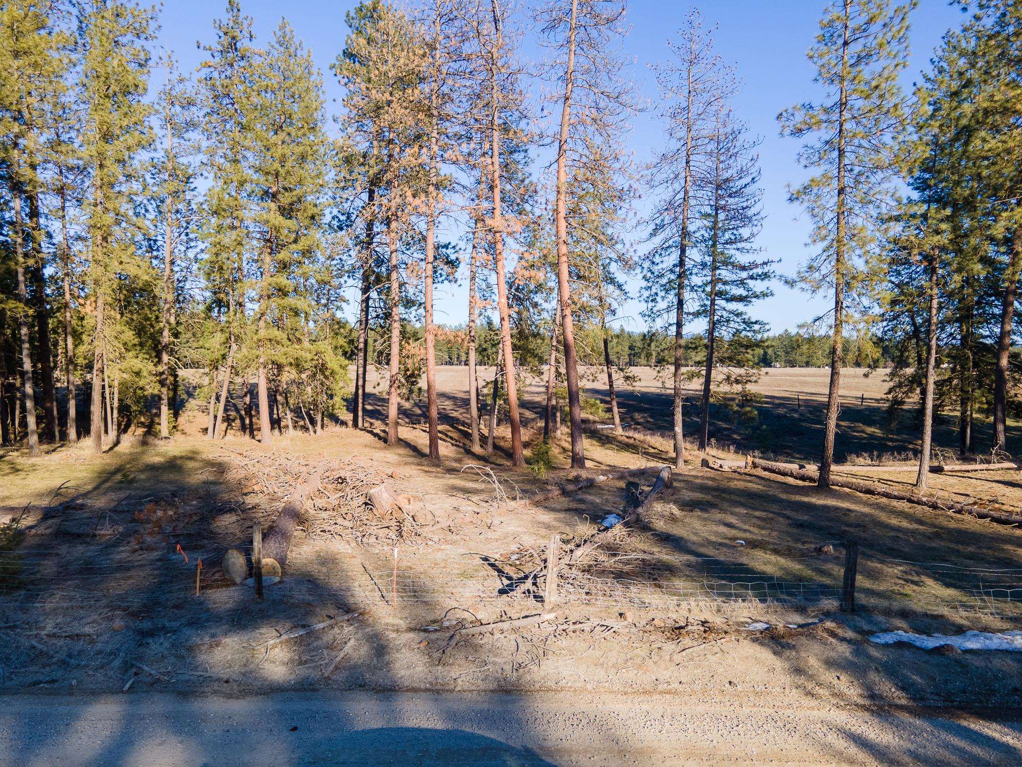 Lot 3 North Division Road Deer Park, WA 99006 - Photo 13 of 14