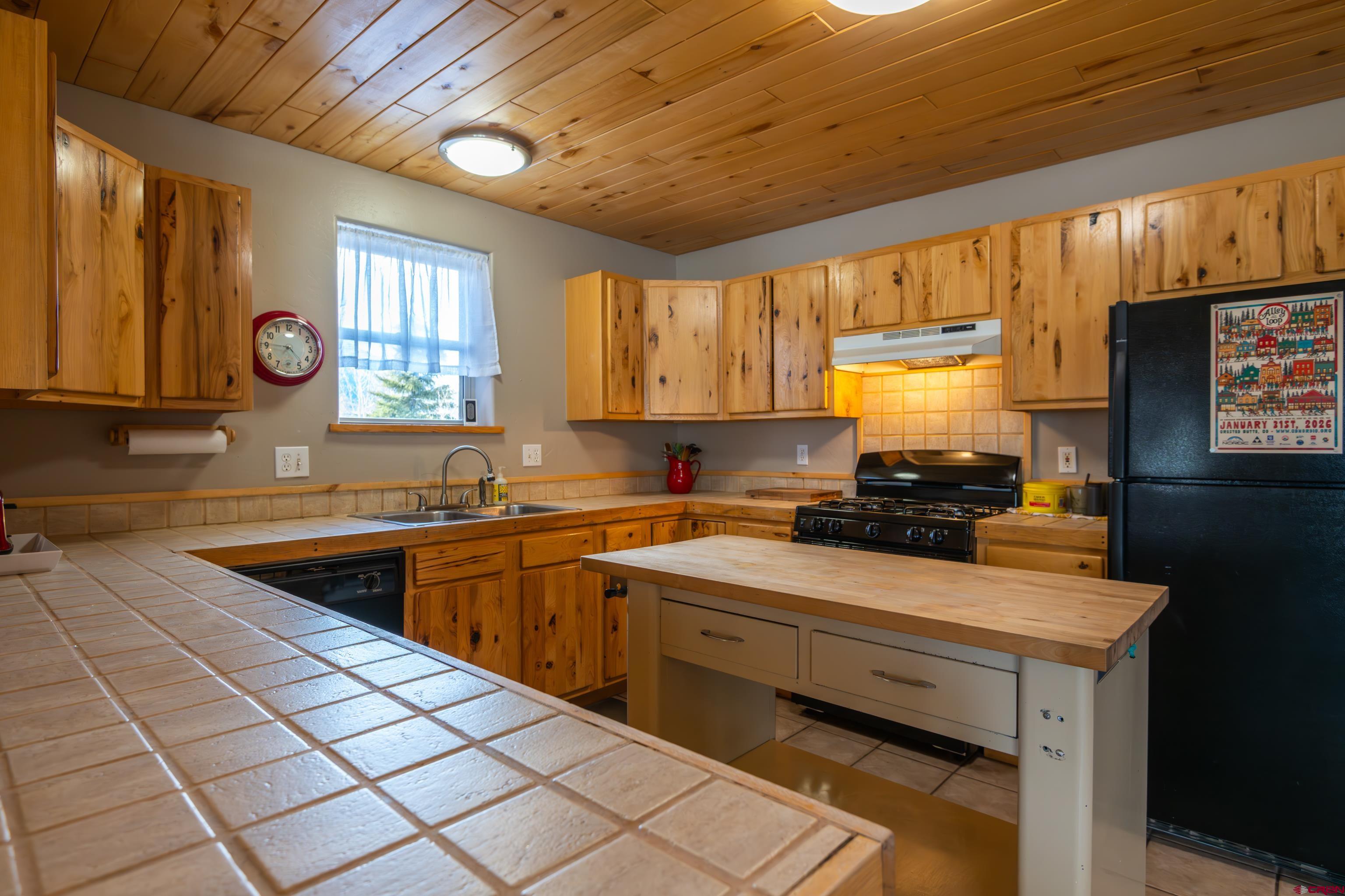 509 Teocalli Road, Unit A Crested Butte, CO 81224 - Photo 13 of 43