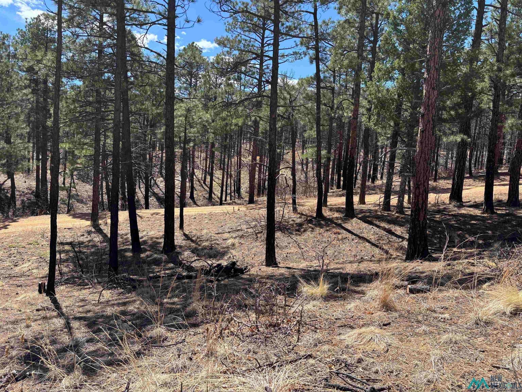 1 Blue Jay Road Rociada, NM 87742 - Photo 18 of 22 Gallery Image 18