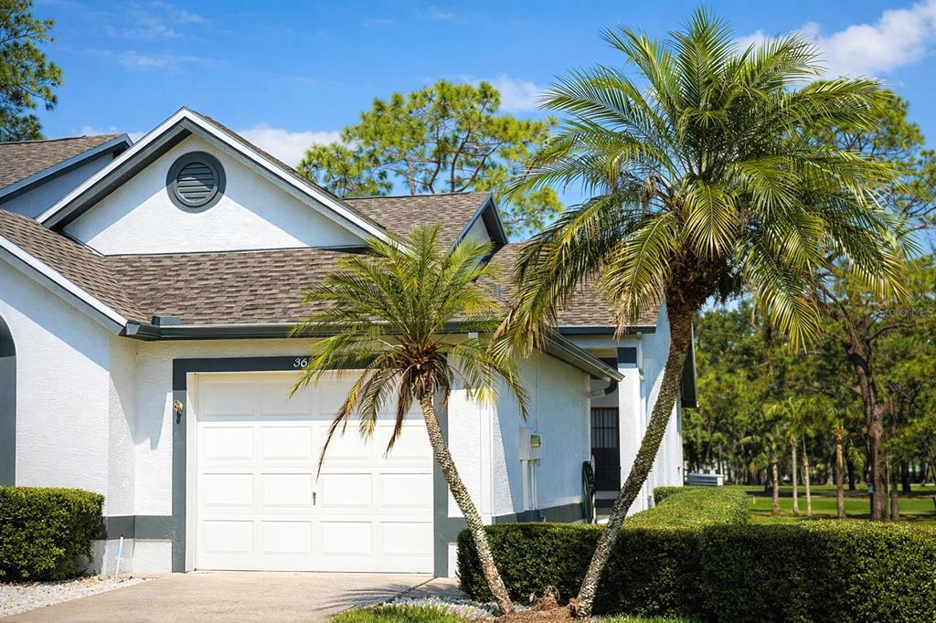 3637 Downfield Place, Unit 402 New Port Richey, FL 34655 - Photo 27 of 39 a view of a house with a small yard