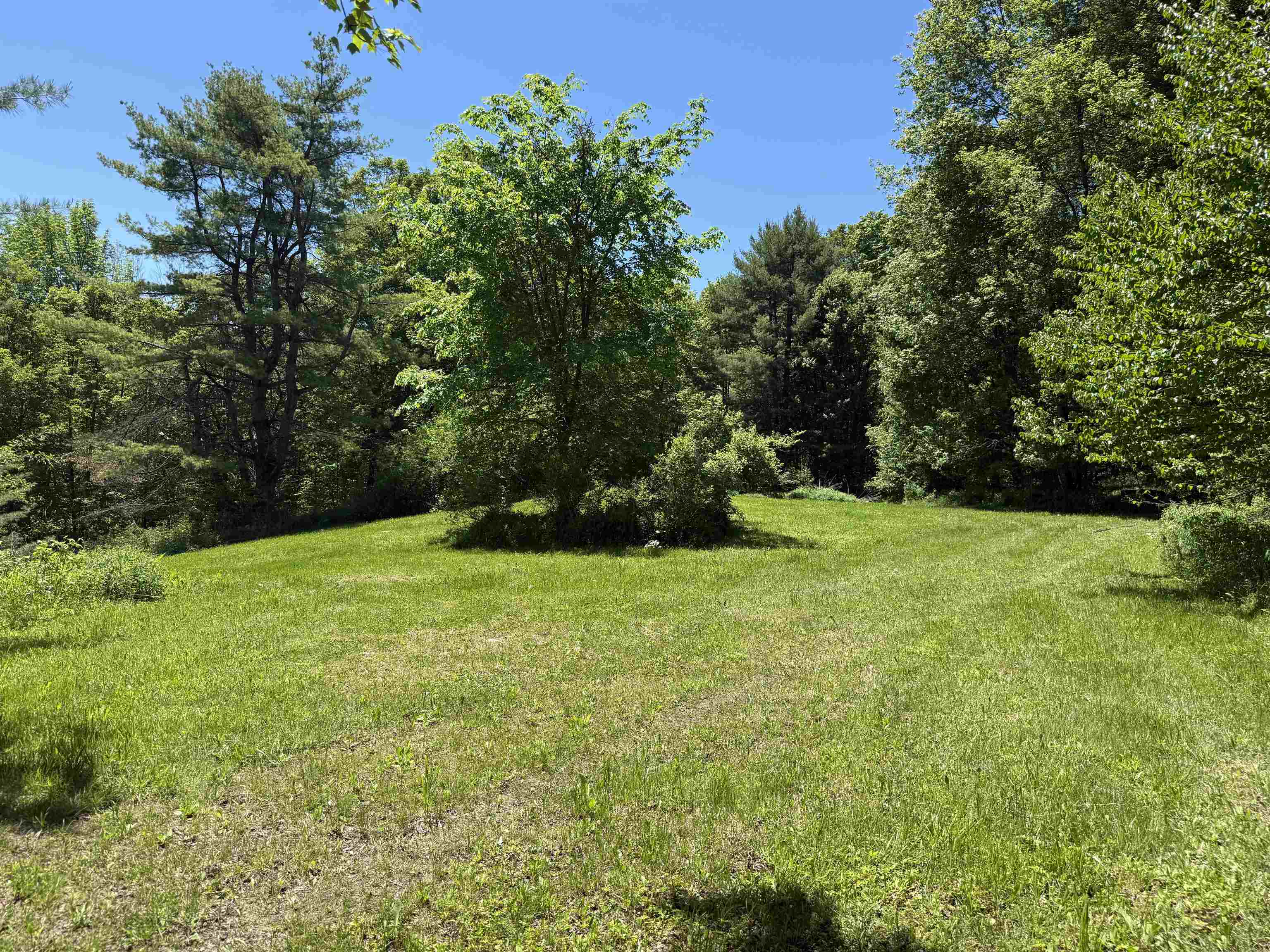 800 Hubbard Hill Road Halifax, VT 05342 - Photo 20 of 55