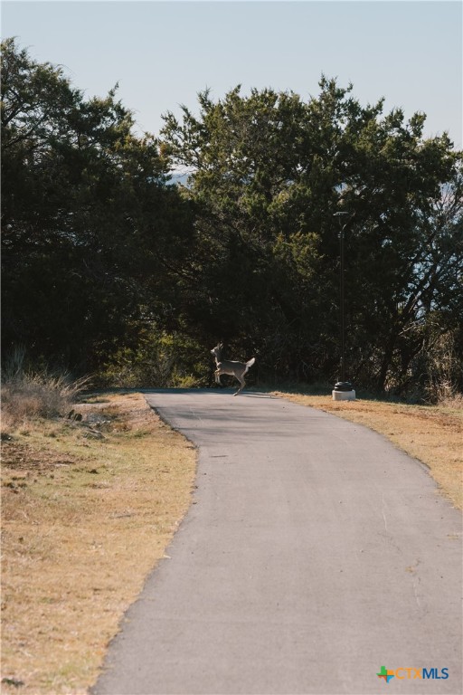 4181 Wular Trail Belton, TX 76513 - Photo 11 of 19 a view of swimming pool with an outdoor space