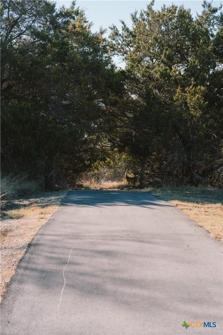 4181 Wular Trail Belton, TX 76513 - Photo 12 of 19 a view of backyard