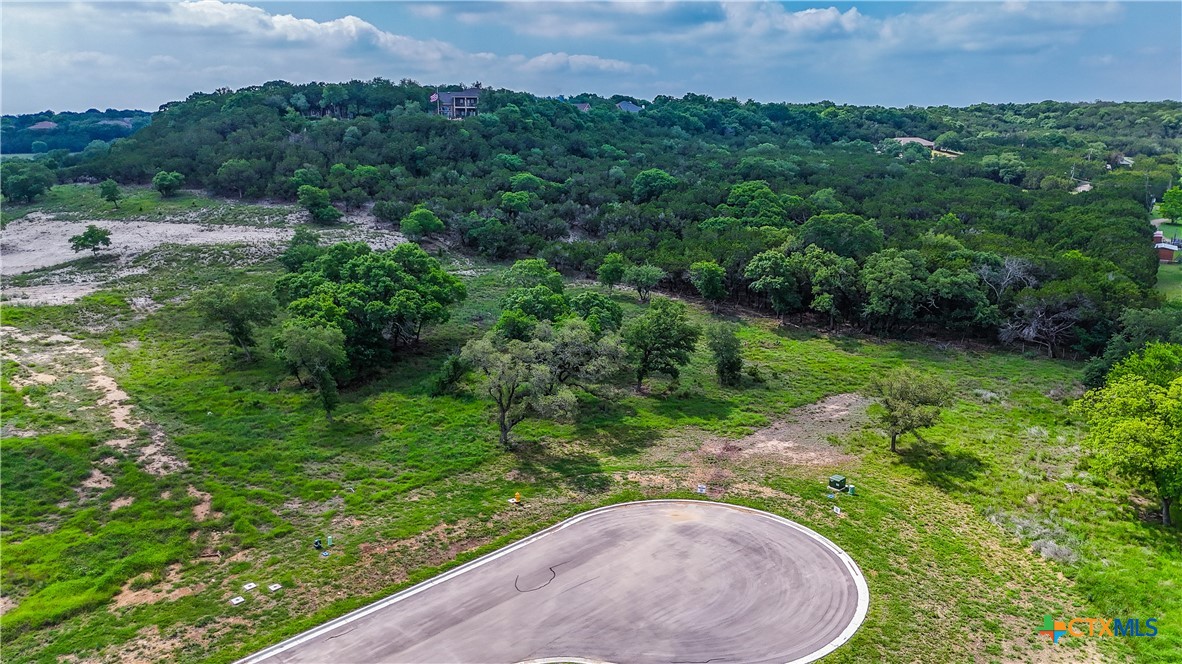4181 Wular Trail Belton, TX 76513 - Photo 2 of 19 an aerial view of a house