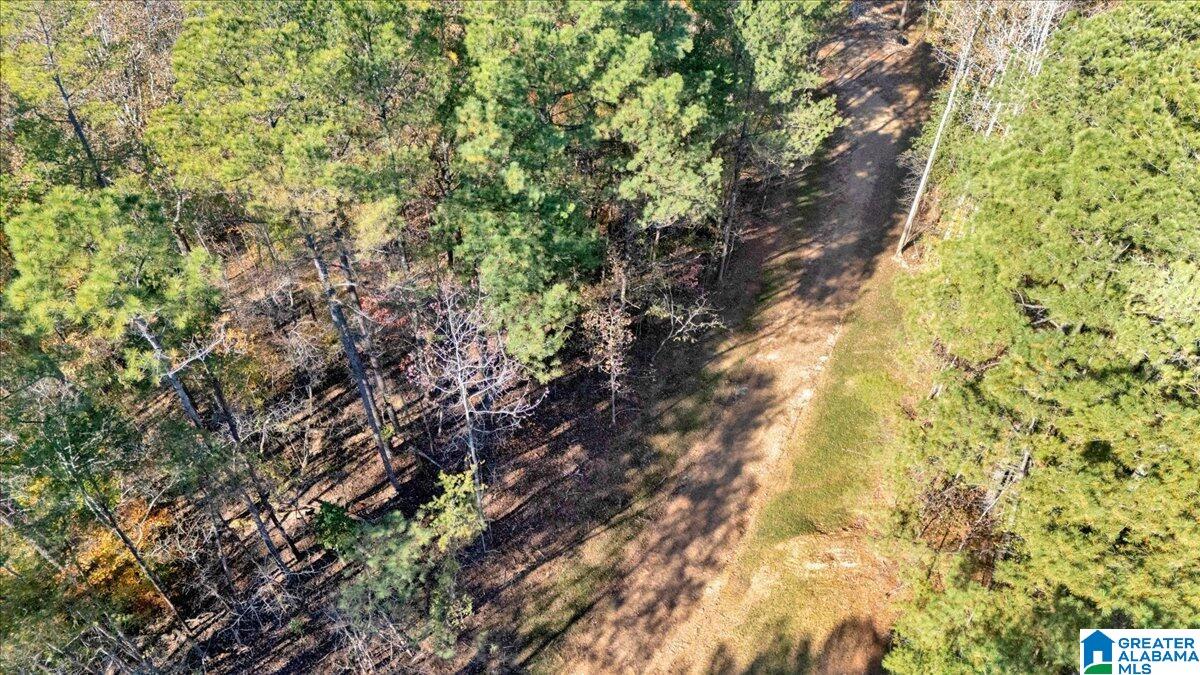 0 Hammock Road Trussville, AL 35173 - Photo 27 of 31