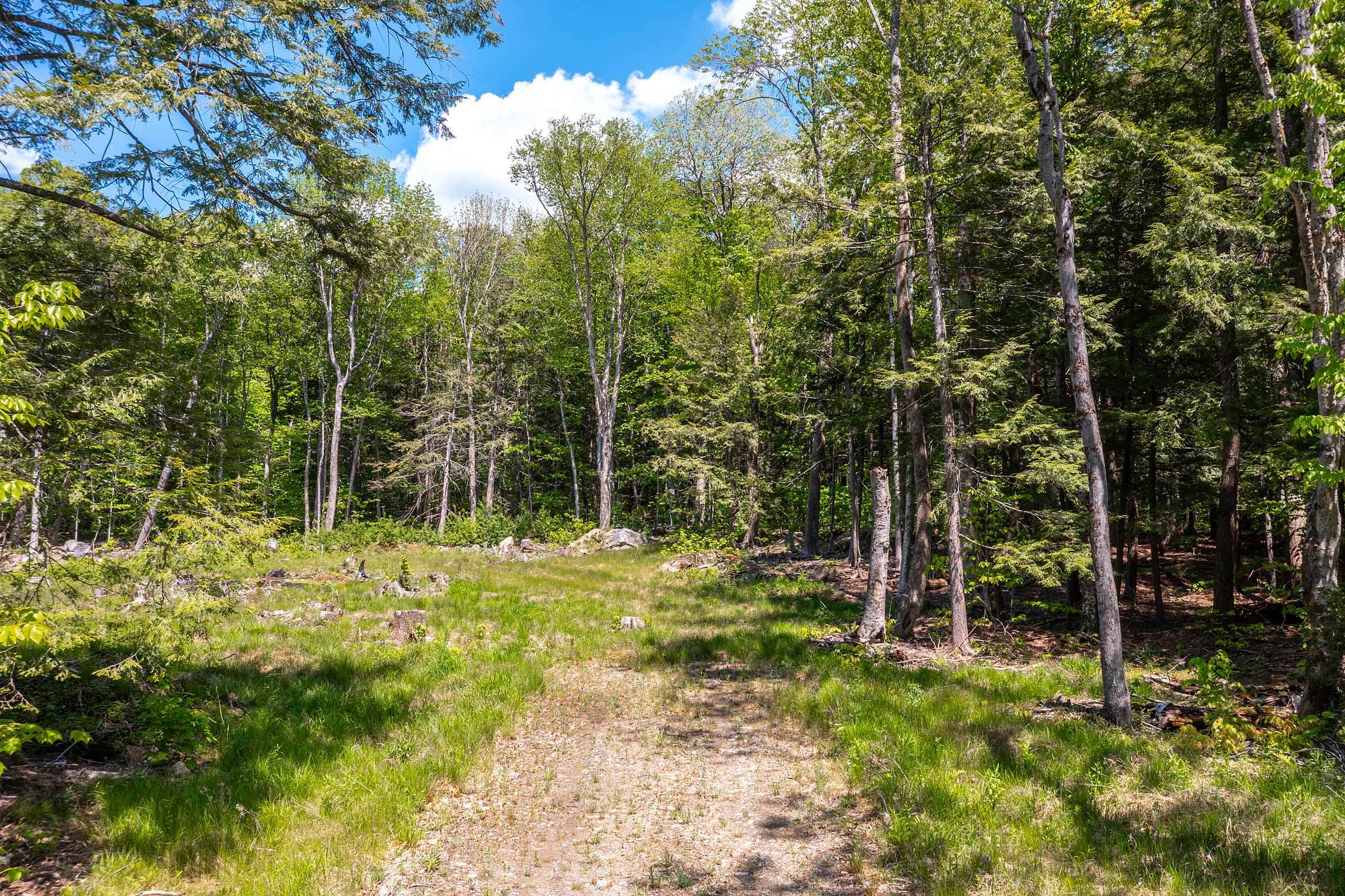 585 Sawmill Road West Wardsboro, VT 05360 - Photo 4 of 15