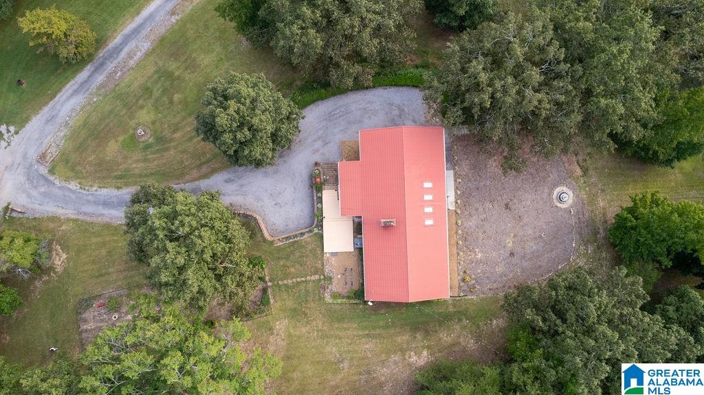 56230 North Highway 231 Oneonta, AL 35121 - Photo 8 of 62