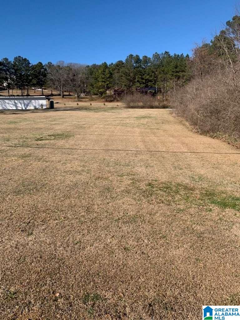 0 Highway 11 Springville Al, Unit 1 Springville, AL 35146 - Photo 5 of 5