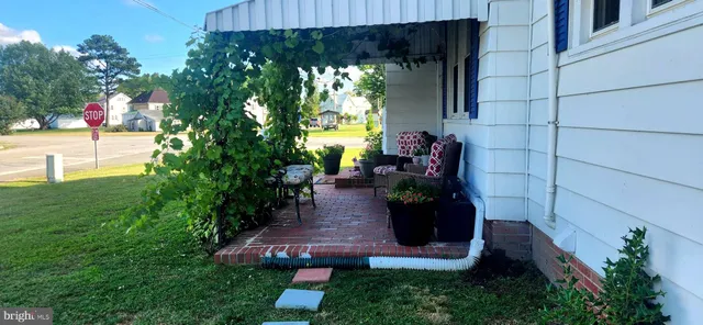 a view of a back yard