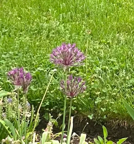 $285,000 | 13 Westridge Drive, Unit 13, Peterborough, NH 03458