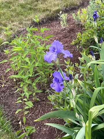 $285,000 | 13 Westridge Drive, Unit 13, Peterborough, NH 03458