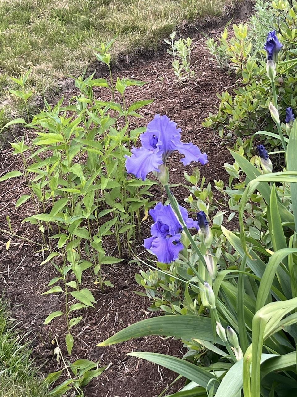 13 Westridge Drive, Unit 13 Peterborough, NH 03458 - Photo 54 of 59