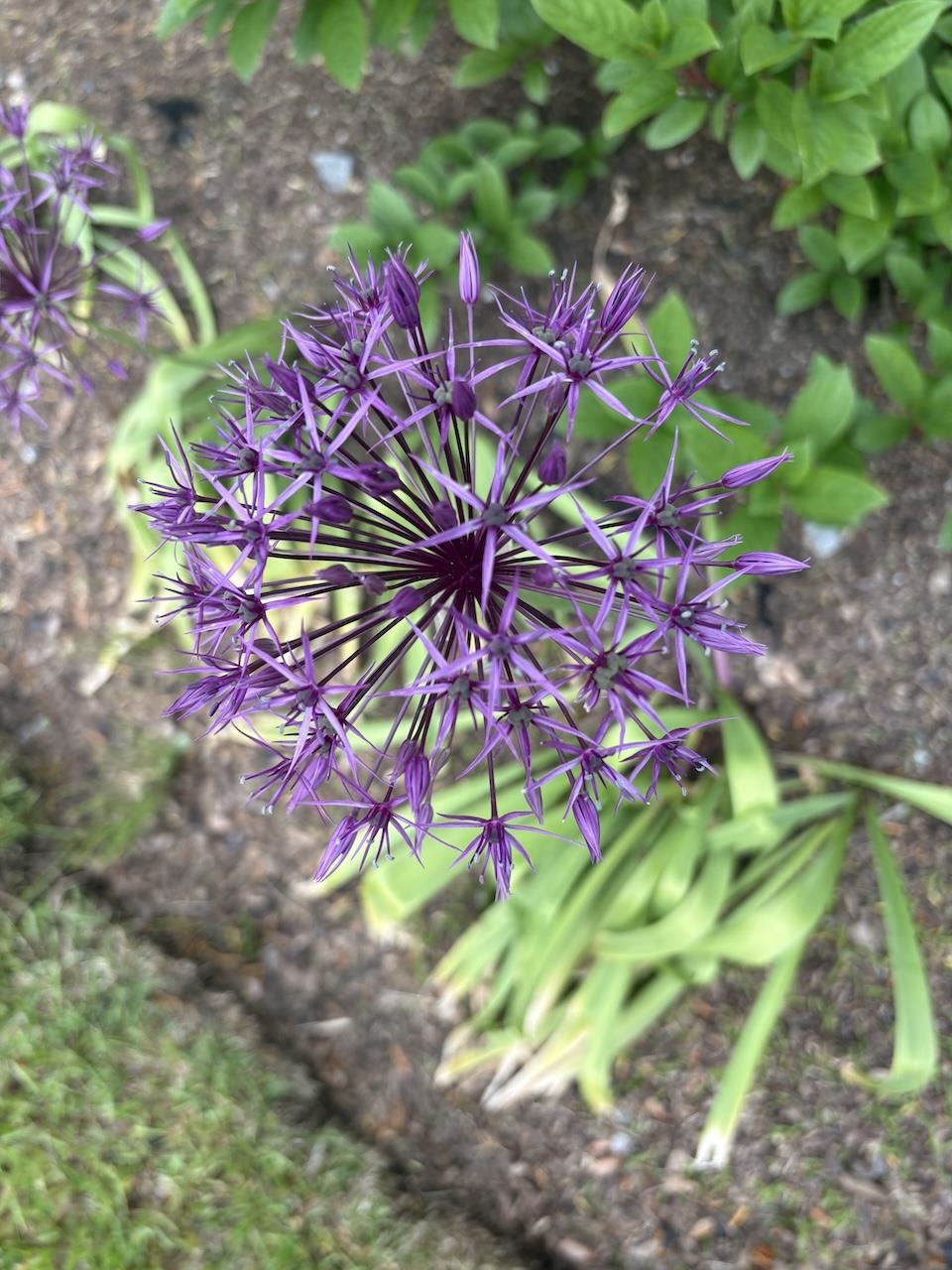 13 Westridge Drive, Unit 13 Peterborough, NH 03458 - Photo 55 of 59