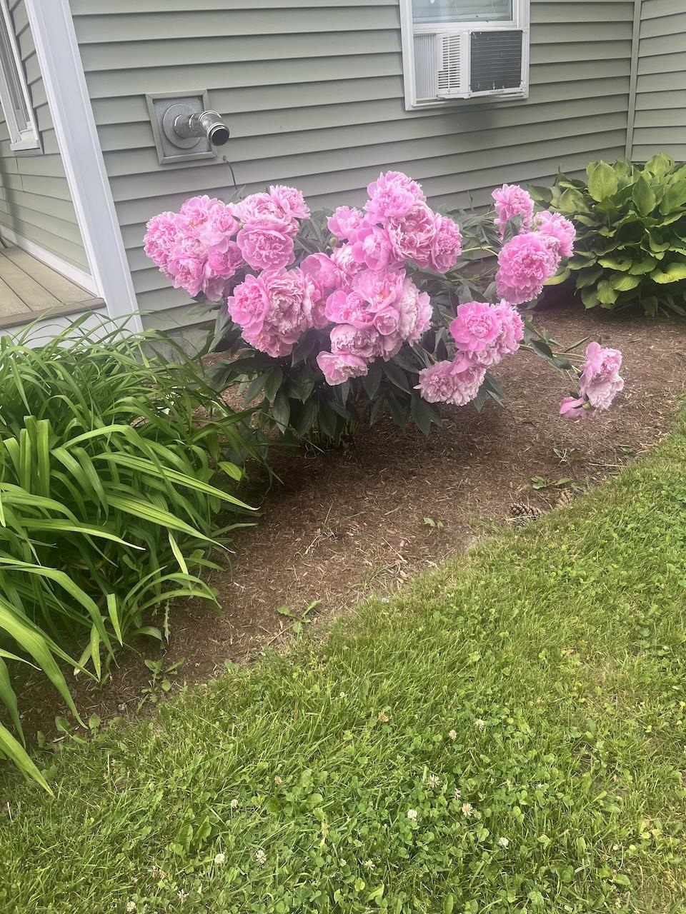 13 Westridge Drive, Unit 13 Peterborough, NH 03458 - Photo 56 of 59