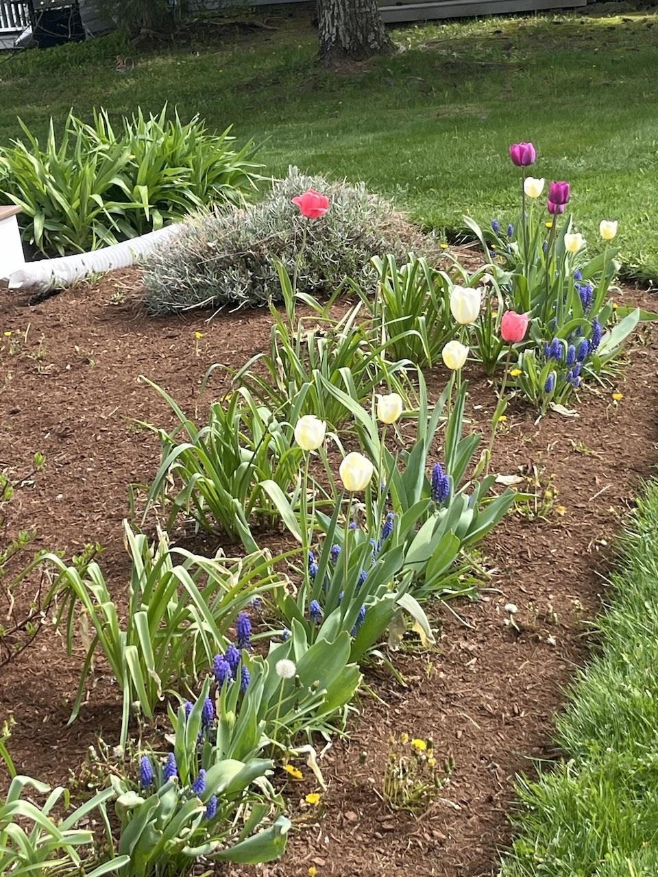 13 Westridge Drive, Unit 13 Peterborough, NH 03458 - Photo 58 of 59