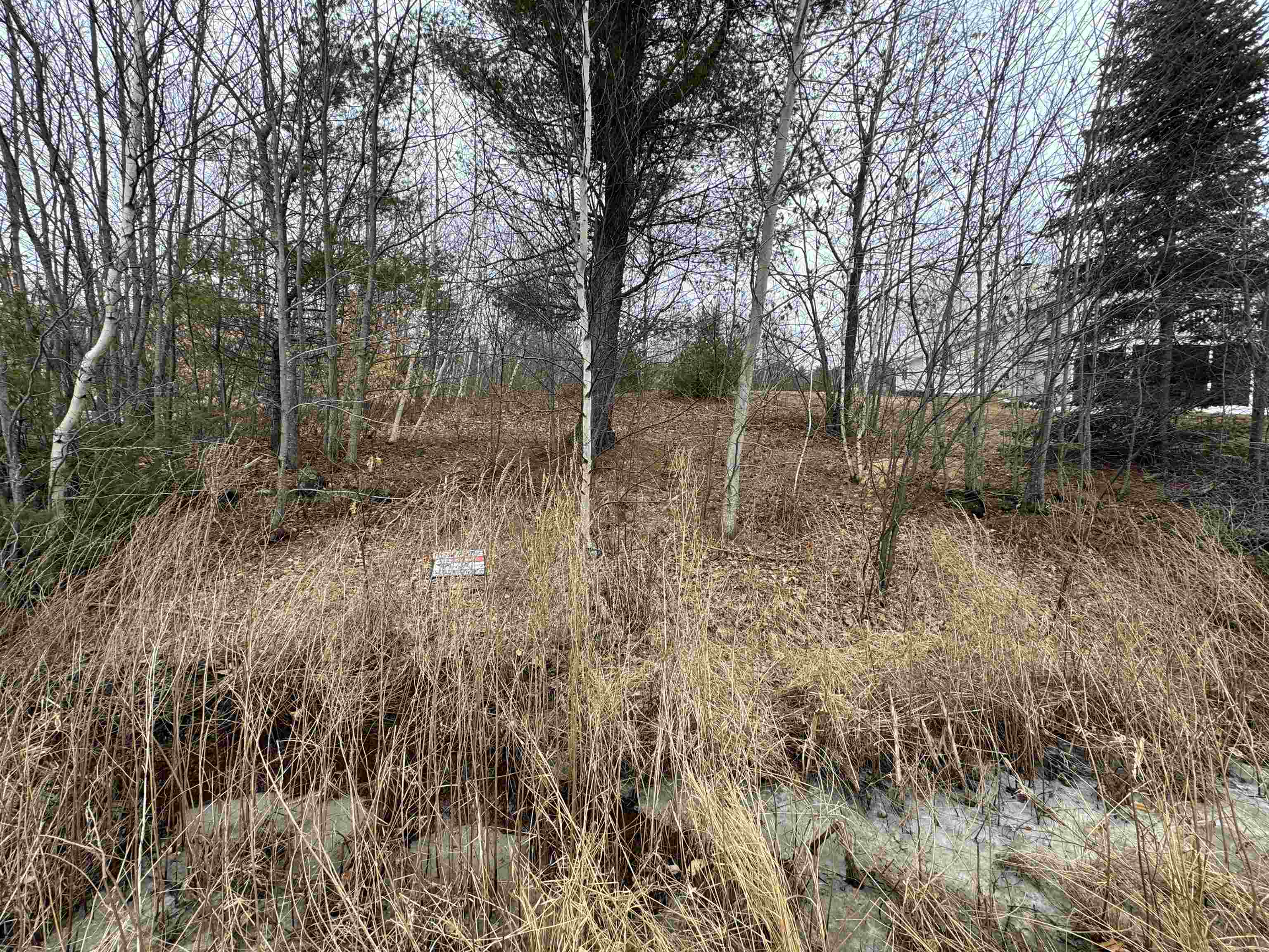 Barnstead North Road, Unit 4 Center Barnstead, NH 03225 - Photo 5 of 7