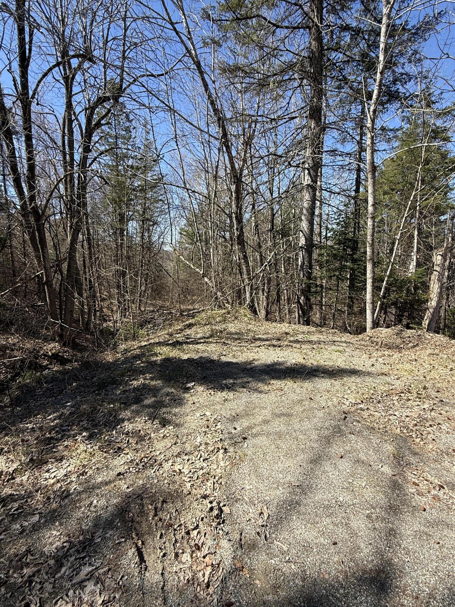 Lot 016-01 Old Fisher Road Holden, ME 04429 - Photo 2 of 10 IMG_6727