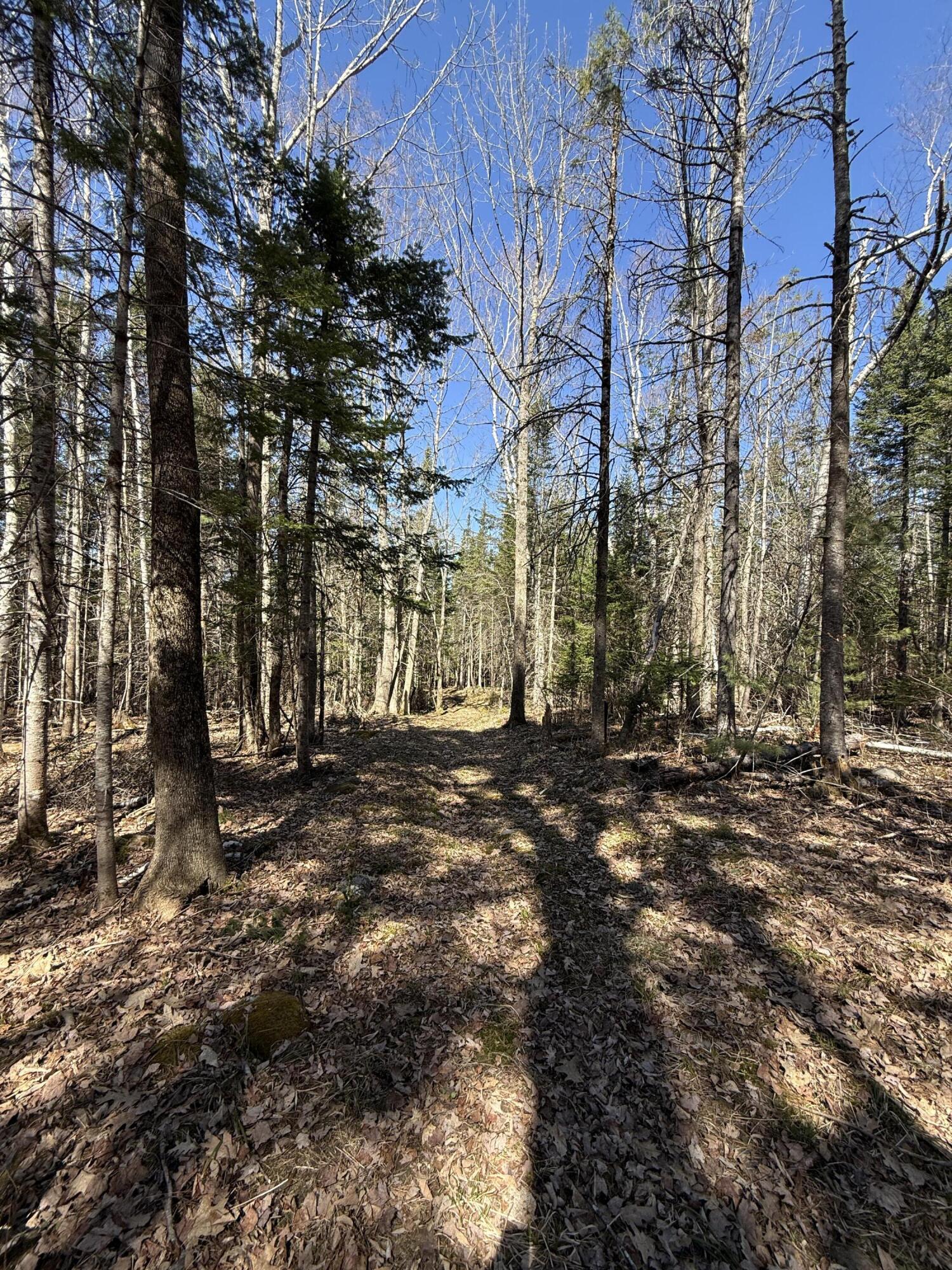 Lot 016-01 Old Fisher Road Holden, ME 04429 - Photo 8 of 10 IMG_6733