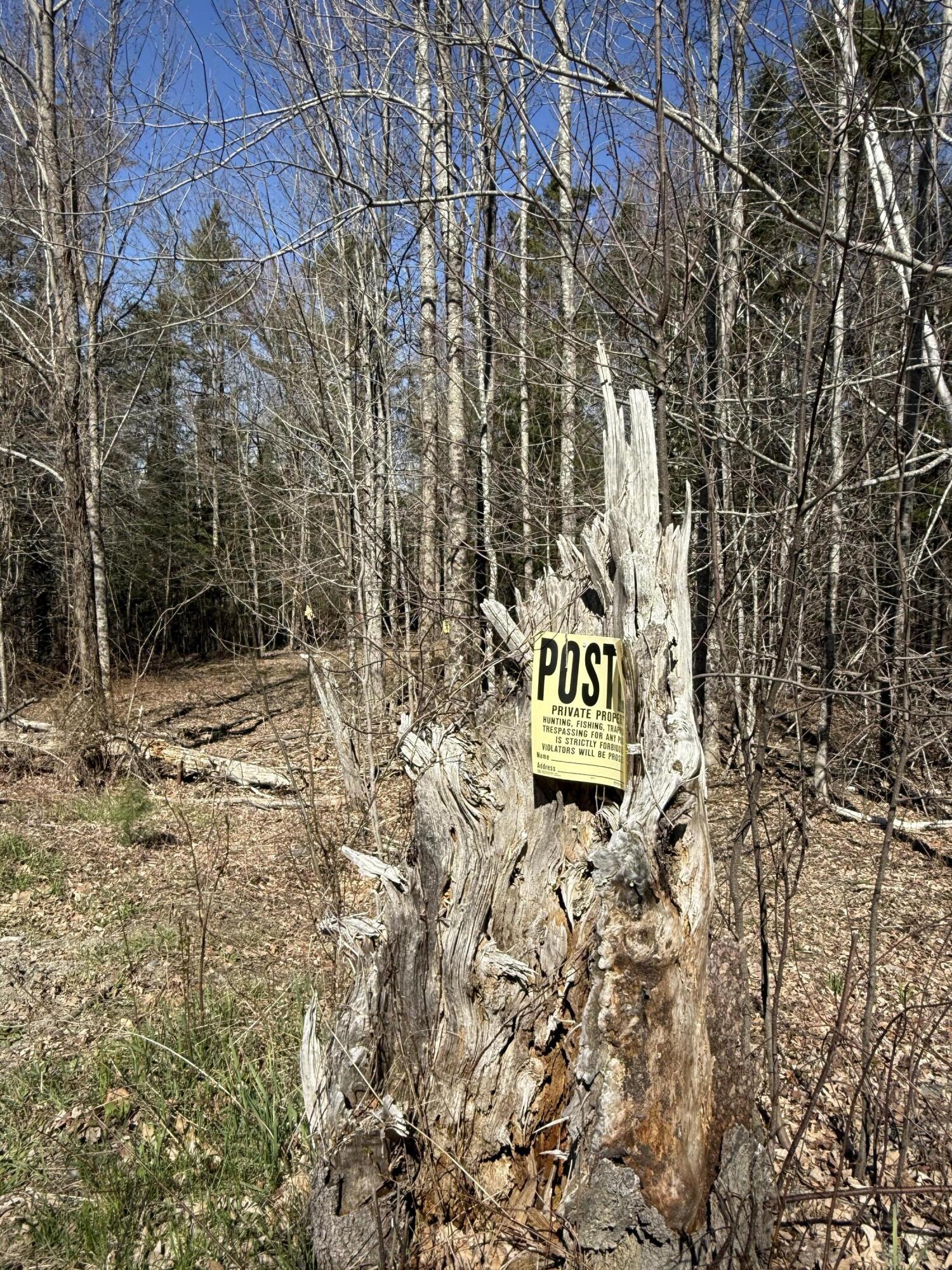 Lot 016-01 Old Fisher Road Holden, ME 04429 - Photo 9 of 10 IMG_6730