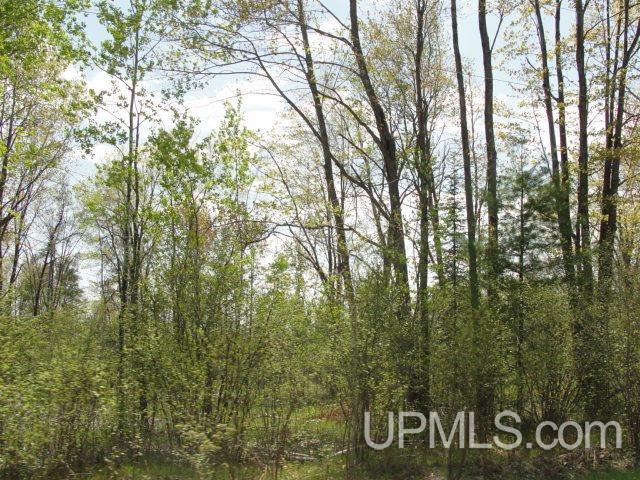 V-wi Stevenson Road Wausaukee, WI 54177 - Photo 3 of 3