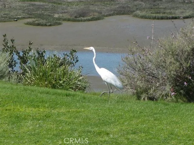 $6,800 | 1960 Vista Caudal, Newport Beach, CA 92660